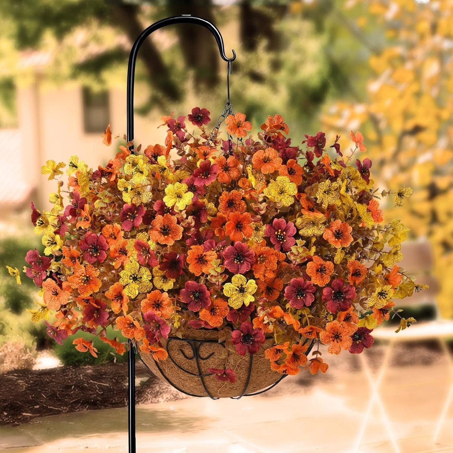 Everlasting Bellflowers - A Perfect Garden, Guaranteed + 50% OFF