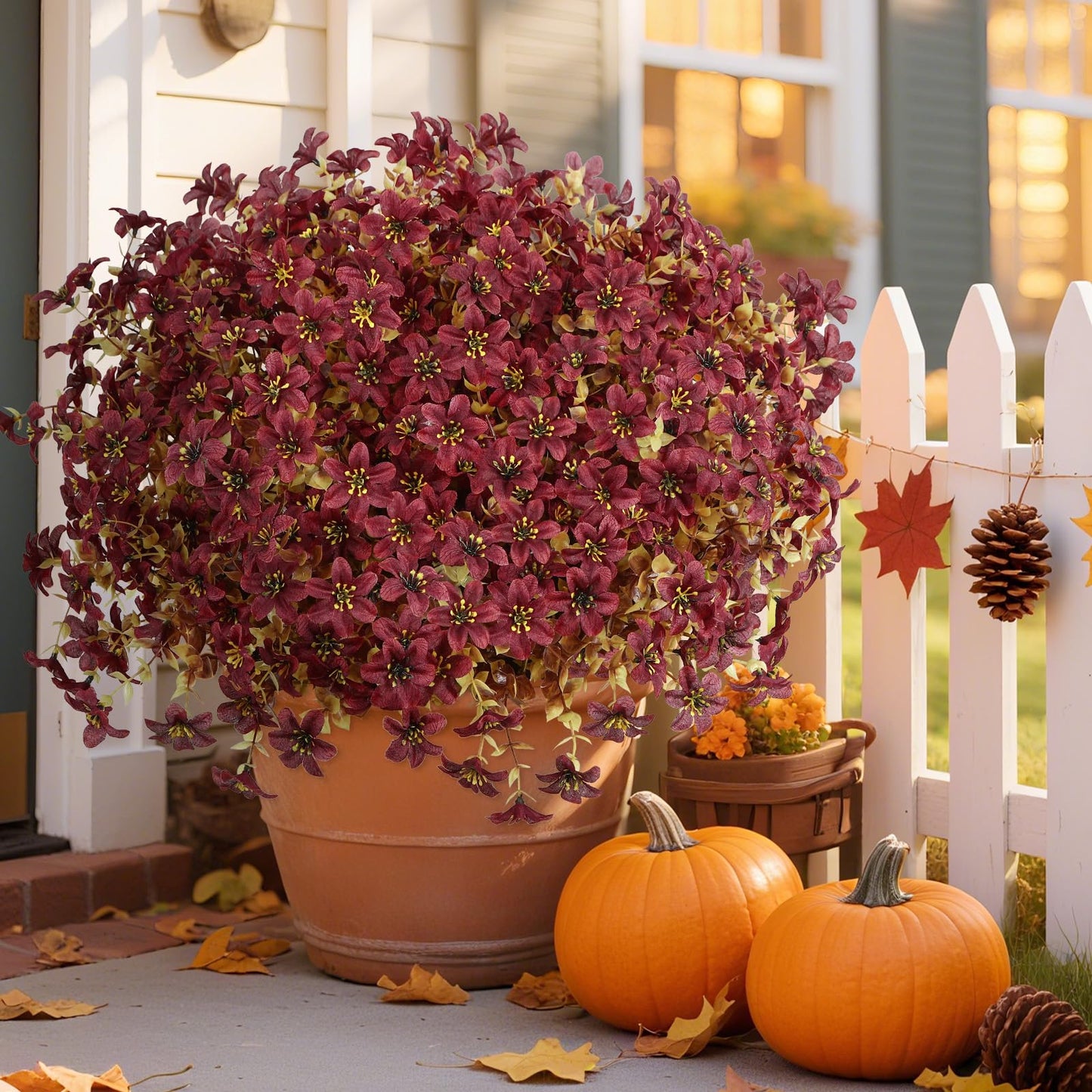 Everlasting Bellflowers - A Perfect Garden, Guaranteed + 50% OFF