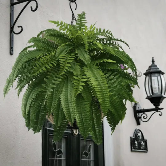 The AuraFern Realistic Boston Fern — Lush, Maintenance-Free Greenery + 50% OFF