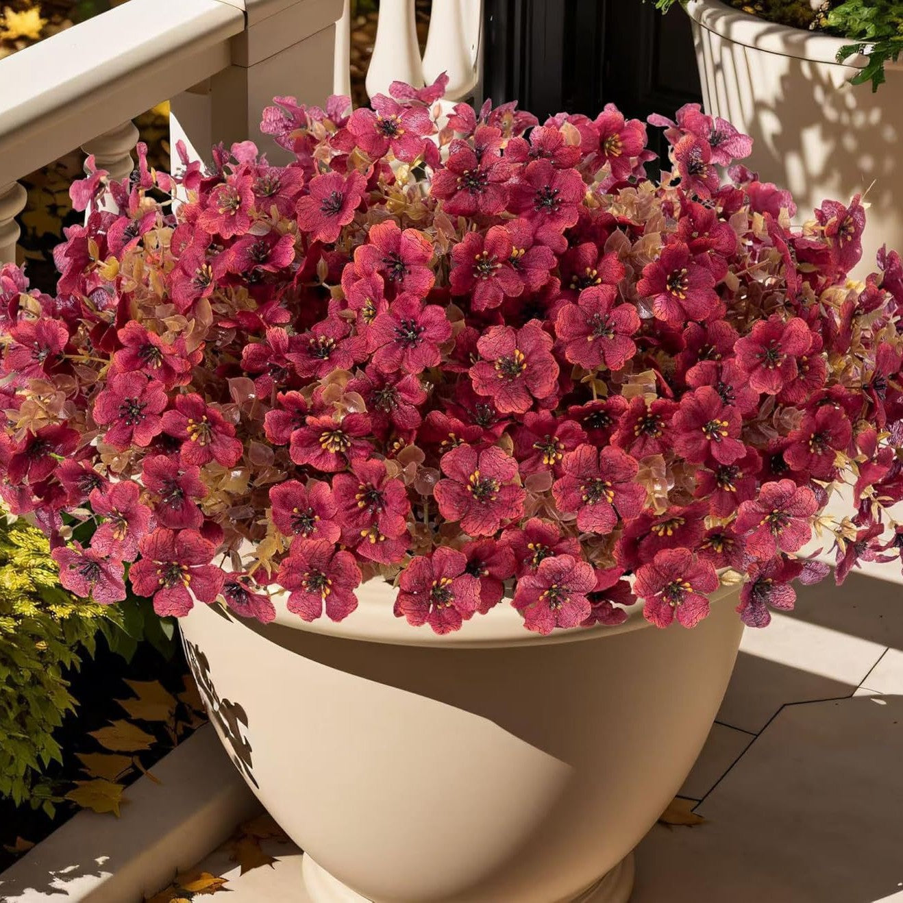 Everlasting Bellflowers - A Perfect Garden, Guaranteed + 50% OFF