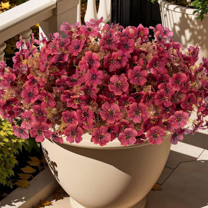 Everlasting Bellflowers - A Perfect Garden, Guaranteed + 50% OFF