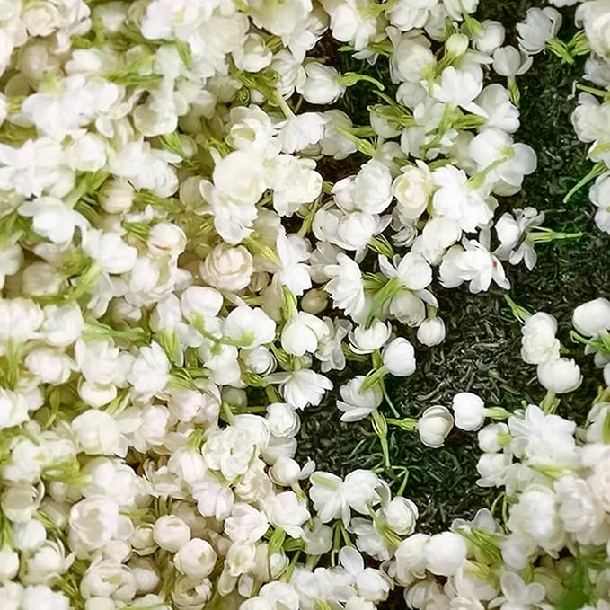JasmineGlow – Bring Spring Indoors Instantly + 50% OFF