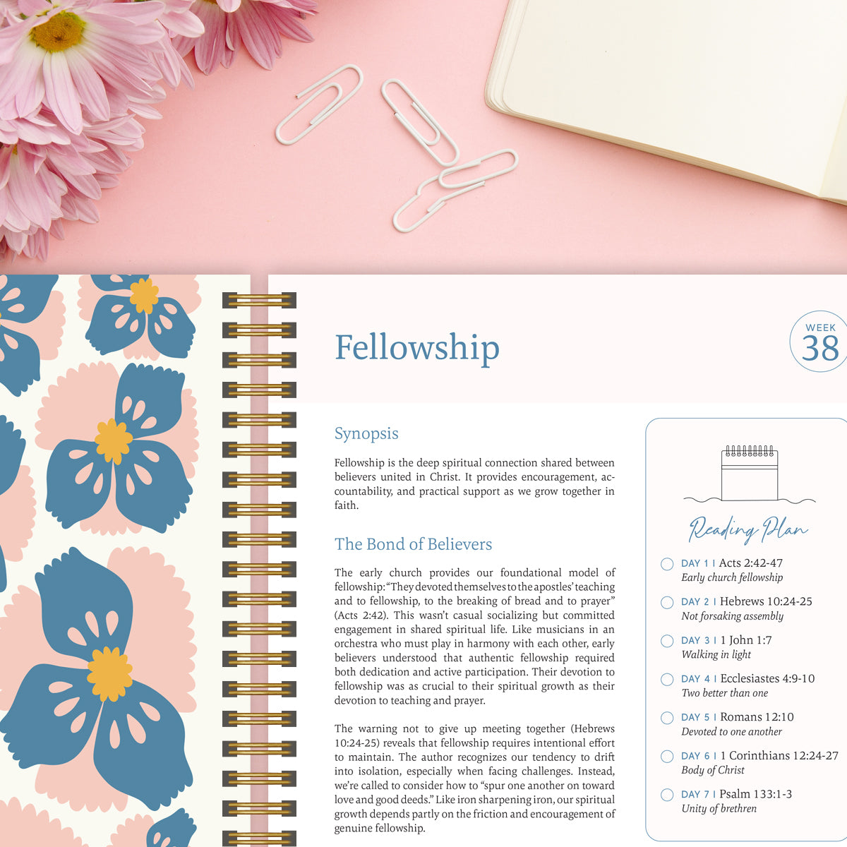 The 52-Week Bible Journey - Deepen Your Faith, Without Getting Lost + 50% OFF