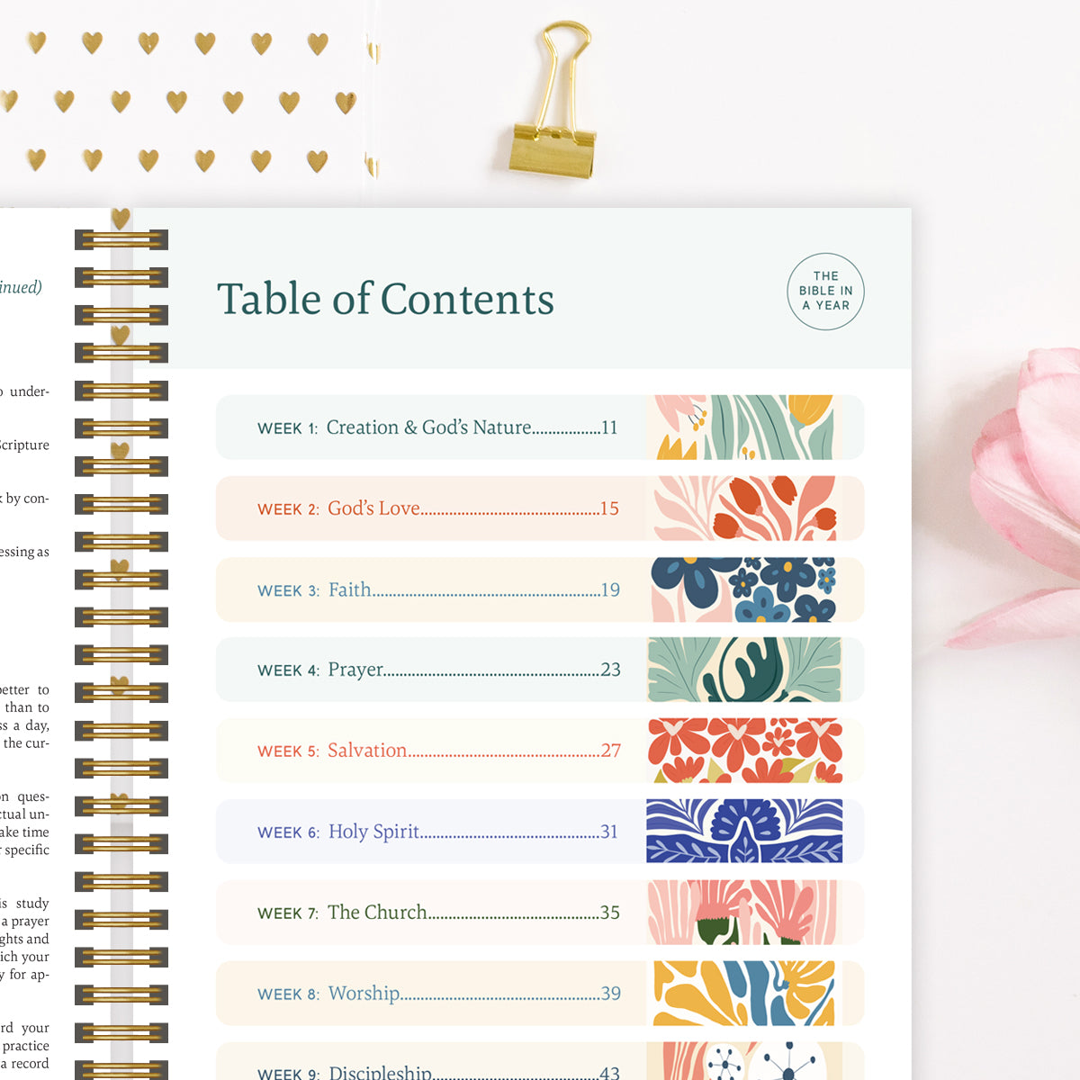 The 52-Week Bible Journey - Deepen Your Faith, Without Getting Lost + 50% OFF