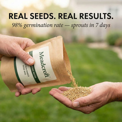 Tillage™ – Four-Season Evergreen, No-Mow, Pet-Friendly Lawn Grass Seeds + 50% OFF