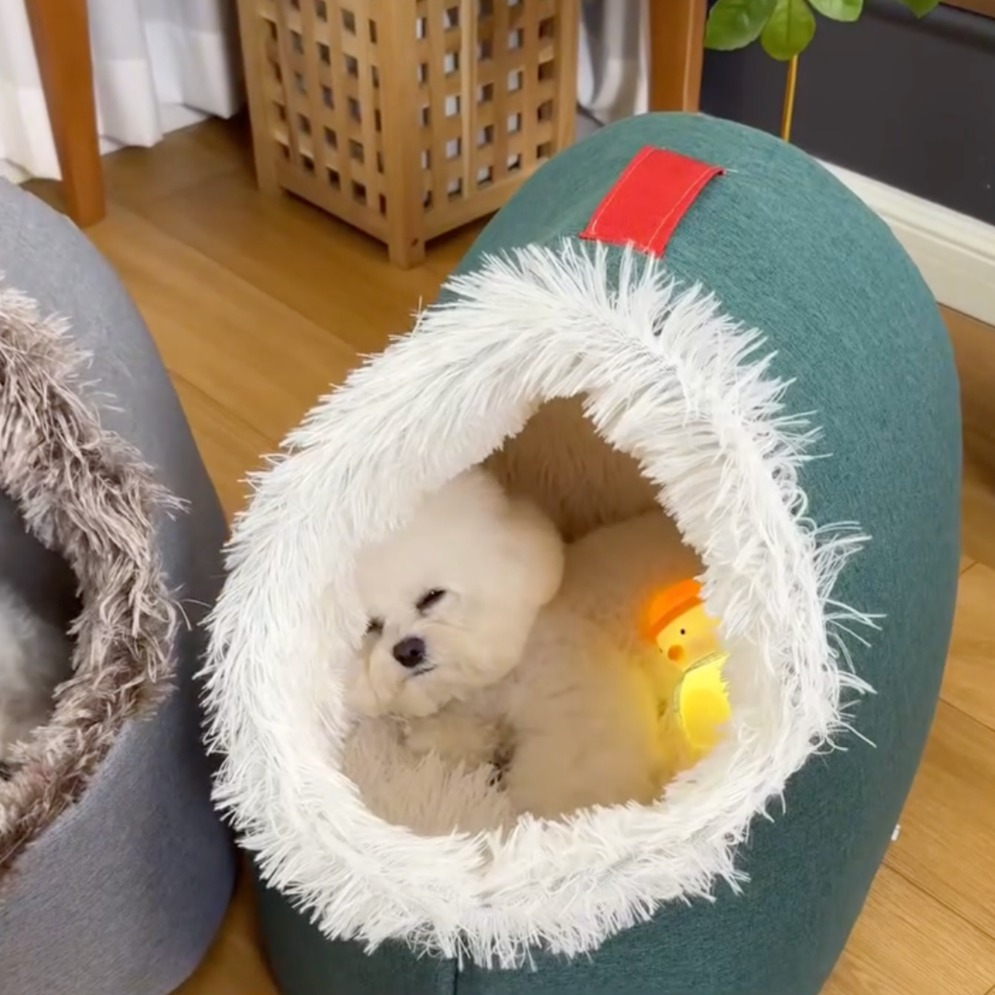 The CozyCave Pet Nest - The Viral Spot for Deep Sleep + 50% OFF