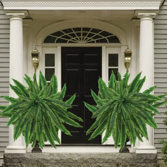 The EverFresh Boston Fern - Lush Beauty That Lasts Forever + 50% OFF