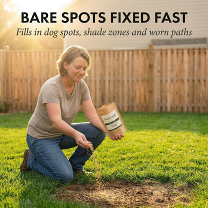 Tillage™ – Four-Season Evergreen, No-Mow, Pet-Friendly Lawn Grass Seeds + 50% OFF