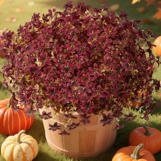 Everlasting Bellflowers - A Perfect Garden, Guaranteed + 50% OFF