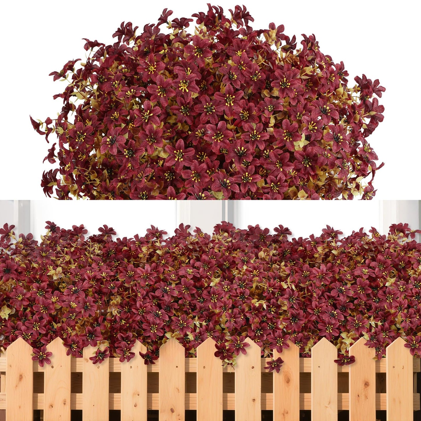 Everlasting Bellflowers - A Perfect Garden, Guaranteed + 50% OFF