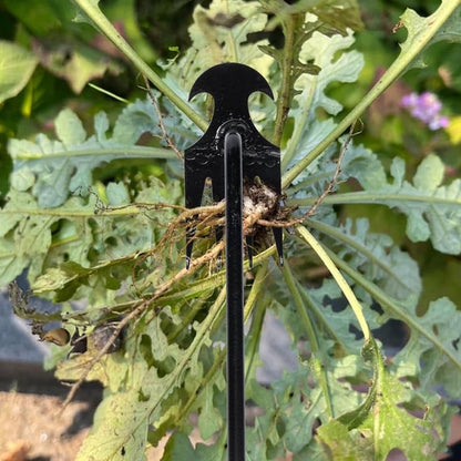 The TerraClaw - Effortless Weeding, No More Sore Back - 50% OFF
