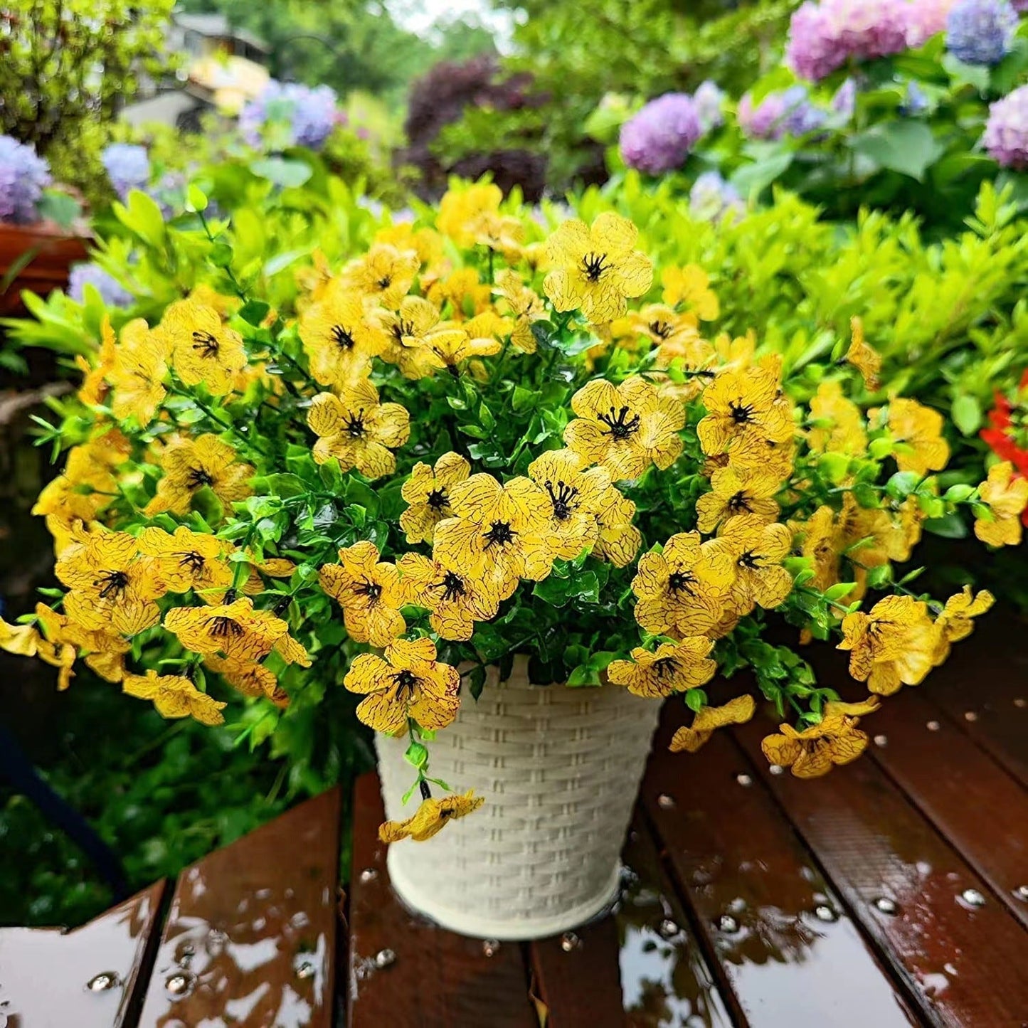 AutumnGlow Mums - A Perfect Fall Porch, Guaranteed + 50% OFF