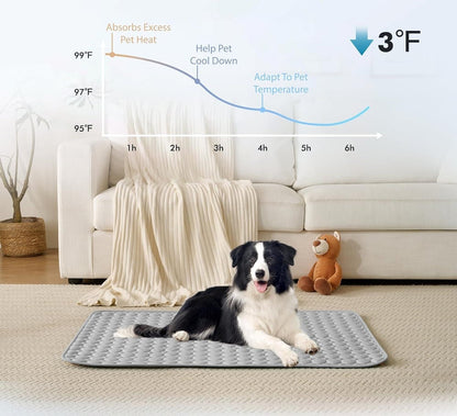 The CryoCore Mat - Instant Heatstroke Prevention - 50% OFF
