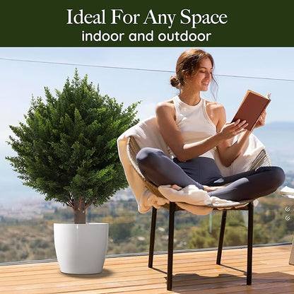 The EverLush Topiary Tree - Zero Maintenance, All-Season Style +50% OFF
