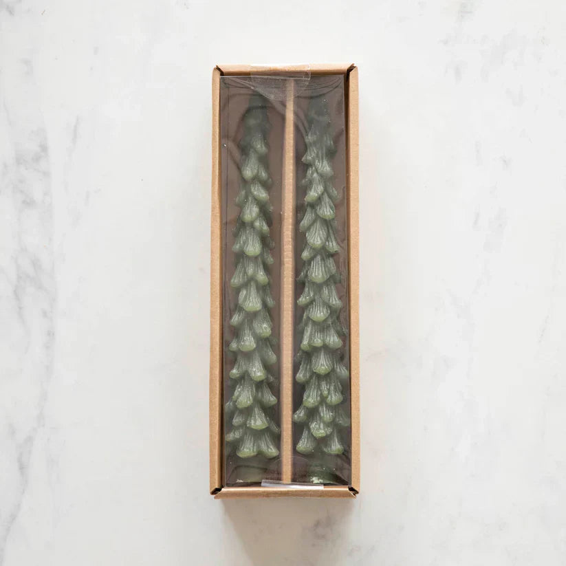 THE TIMELESS TAPER TRIO: OLD-WORLD CHARM, ZERO RISK 50% OFF