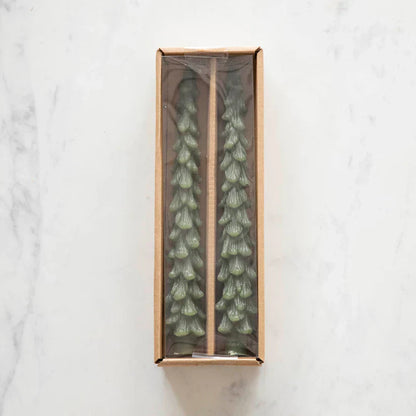 THE TIMELESS TAPER TRIO: OLD-WORLD CHARM, ZERO RISK 50% OFF