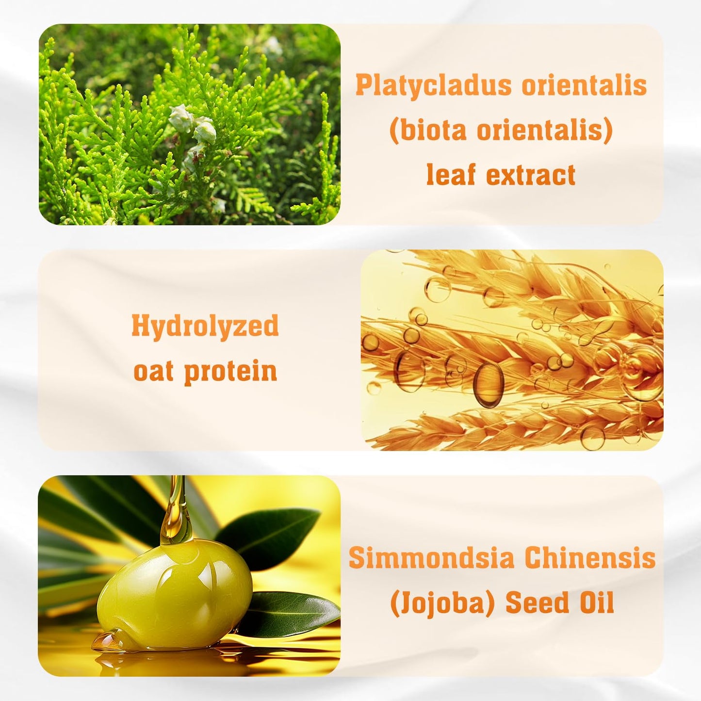 The Root-Strength Shampoo - Thicker Hair, Less Hair Fall + 50% OFF