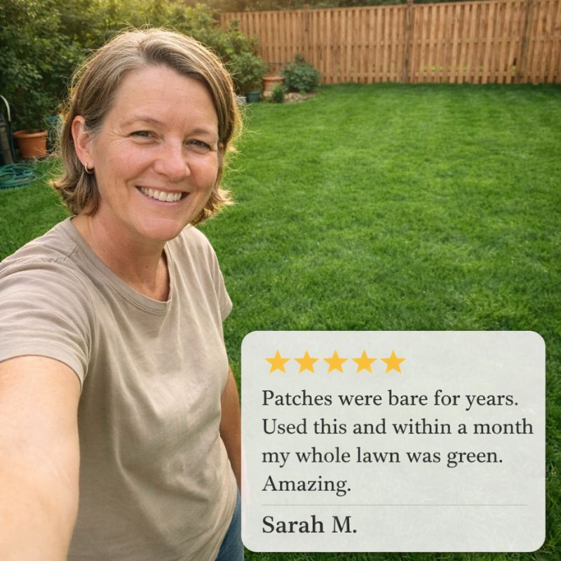 Tillage™ – Four-Season Evergreen, No-Mow, Pet-Friendly Lawn Grass Seeds + 50% OFF