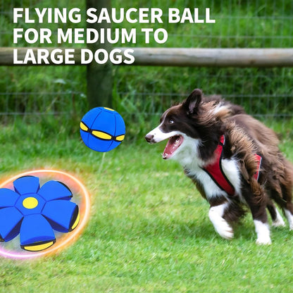 The FlexFlight Metaball - Bouncy Ball, Flying Saucer, and Educational Fun + 50% OFF