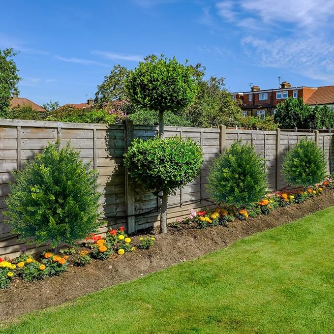 The EverLush Topiary Tree - Zero Maintenance, All-Season Style +50% OFF