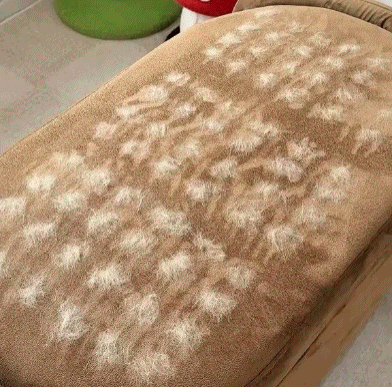 The FurGrip Grooming Gloves - Pet Hair Off in One Swipe +  1+1 FREE