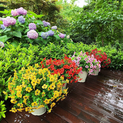AutumnGlow Mums - A Perfect Fall Porch, Guaranteed + 50% OFF