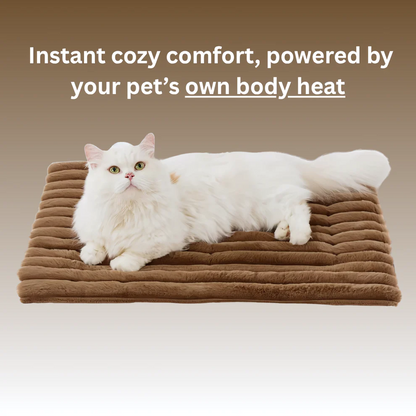 The ThermoMat Pet Pad - Thermal Extra Warmth, Anytime, Anywhere + 50% OFF