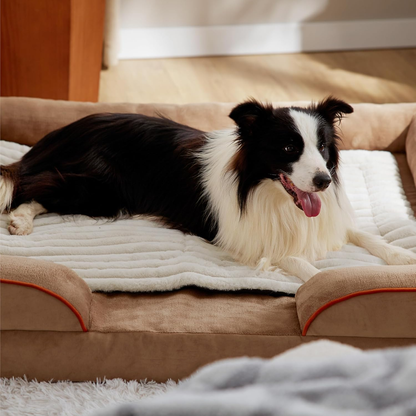 The ThermoMat Pet Pad - Thermal Extra Warmth, Anytime, Anywhere + 50% OFF