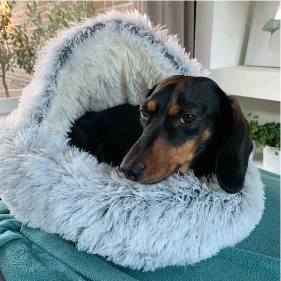 The CozyCave Pet Bed - Anxiety-Free, Cozy Sleep + 50% OFF