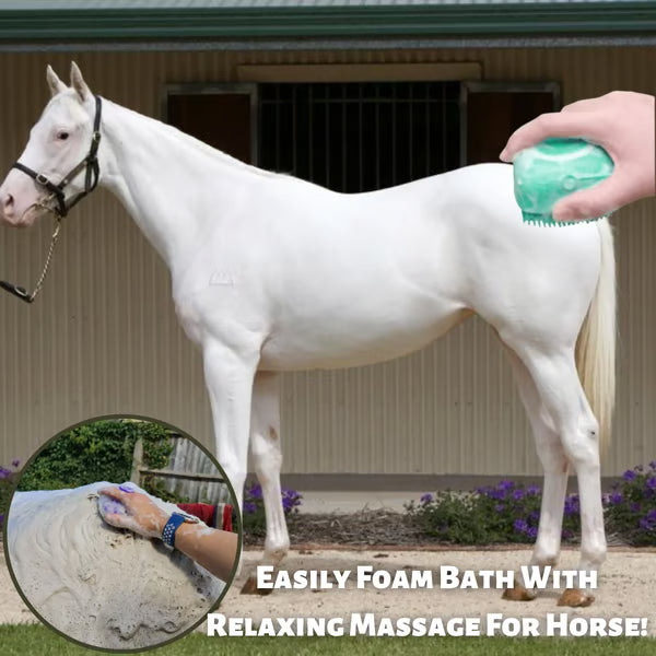 The ScalpRevive Brush - 2-in-1 Shampoo & Massage Tool +50% OFF