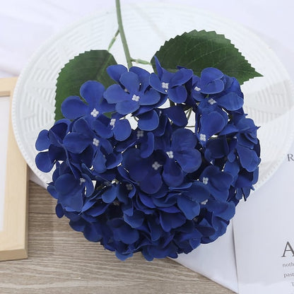 EverBloom Hydrangeas - A Perfect Garden, Effortlessly - 1+1 FREE