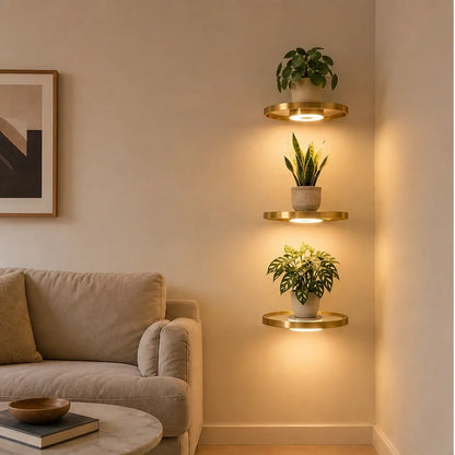 Glowsill – Floating Plant Shelf with Warm LED Uplight, Cordless & Rechargeable + 50% OFF