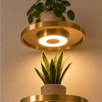 Glowsill – Floating Plant Shelf with Warm LED Uplight, Cordless & Rechargeable + 50% OFF
