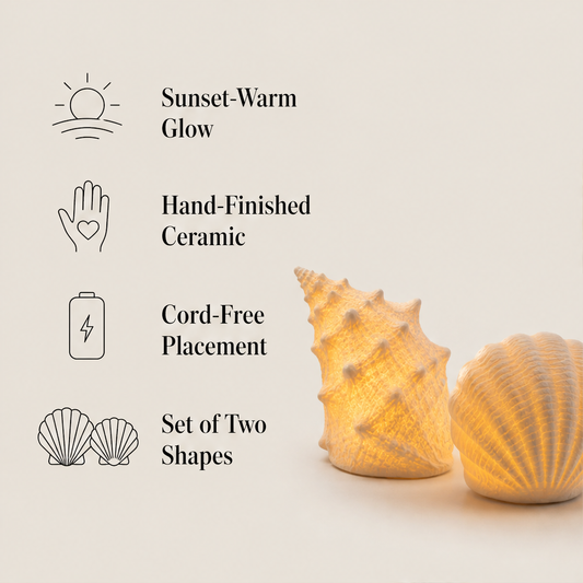 Shellume – Real Texture Ceramic Shell & Conch Light Set + 50% OFF features